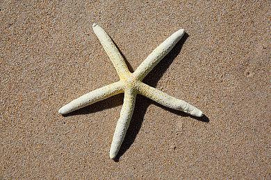 《午夜杀生 重制版》发布多人预告确定全平台